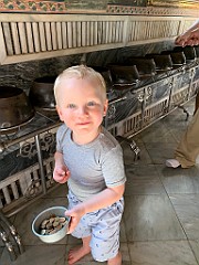 IMG_0906