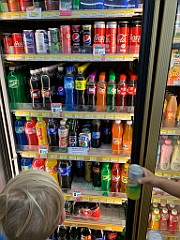 IMG_1290