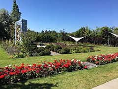 IMG_1036