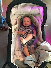 IMG_1306