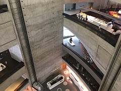 IMG_1495