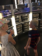 IMG_1538