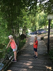 IMG_2476