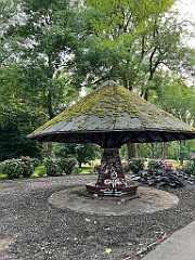 IMG_3263