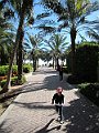 IMG_4031