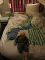 IMG_4201