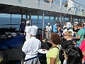 IMG_4248