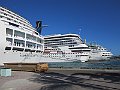 IMG_4334