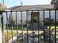 IMG_4341