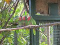 IMG_4352