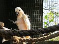 IMG_4360
