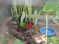 IMG_4362
