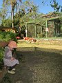 IMG_4369