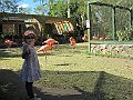 IMG_4377