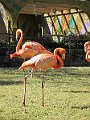 IMG_4380