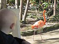 IMG_4387