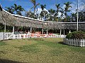 IMG_4401
