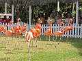 IMG_4402