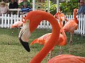 IMG_4409