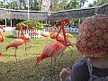 IMG_4412