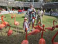 IMG_4432