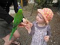 IMG_4454
