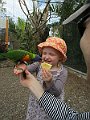 IMG_4486