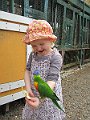IMG_4506