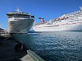 IMG_4538