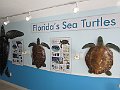 IMG_4765