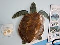 IMG_4766