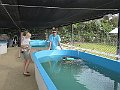 IMG_4781