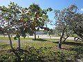 IMG_4838