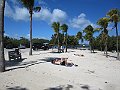 IMG_4882