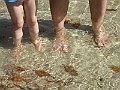 IMG_4915