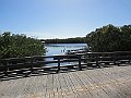 IMG_4966