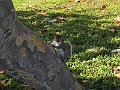 IMG_4980