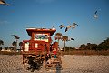 IMG_1009
