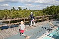 IMG_1377