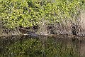 IMG_1381