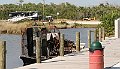 IMG_1386