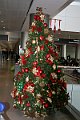IMG_1575