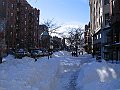 231_3117
