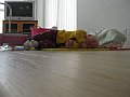 IMG_7970