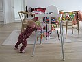 IMG_7982