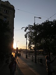 IMG_6955