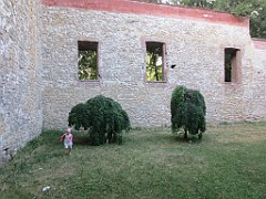 IMG_7227