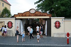 IMG_7657 (2)