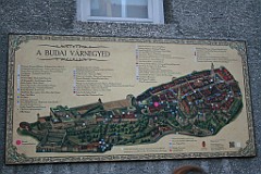 IMG_7668 (2)