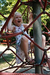 IMG_7825